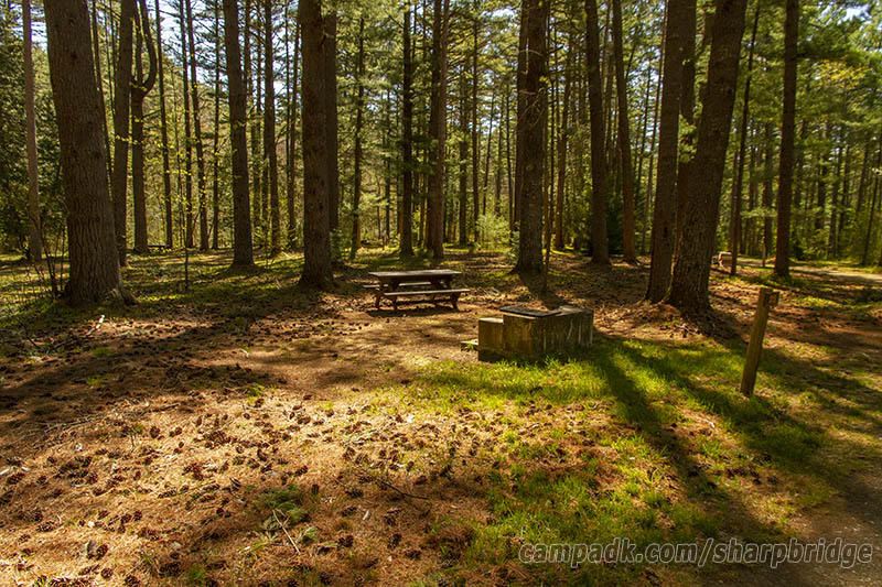Campsite Photo of Site 25 at Sharp Bridge Campground, New York - Looking at Site from Road Sign Visible