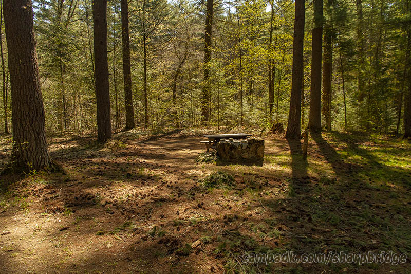 Campsite Photo of Site 30 at Sharp Bridge Campground, New York - Looking at Site from Road Sign Visible