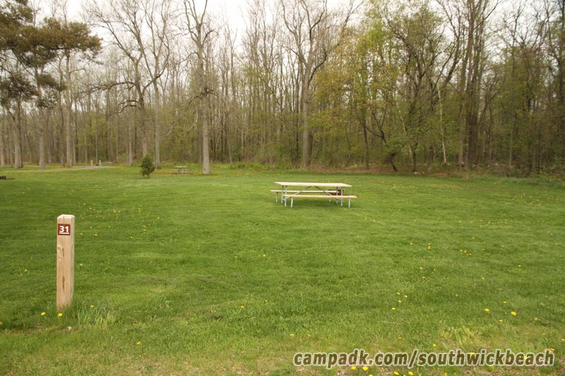 Campsite Photo of Site 31 at Southwick Beach State Park, New York - Looking at Site from Road Sign Visible