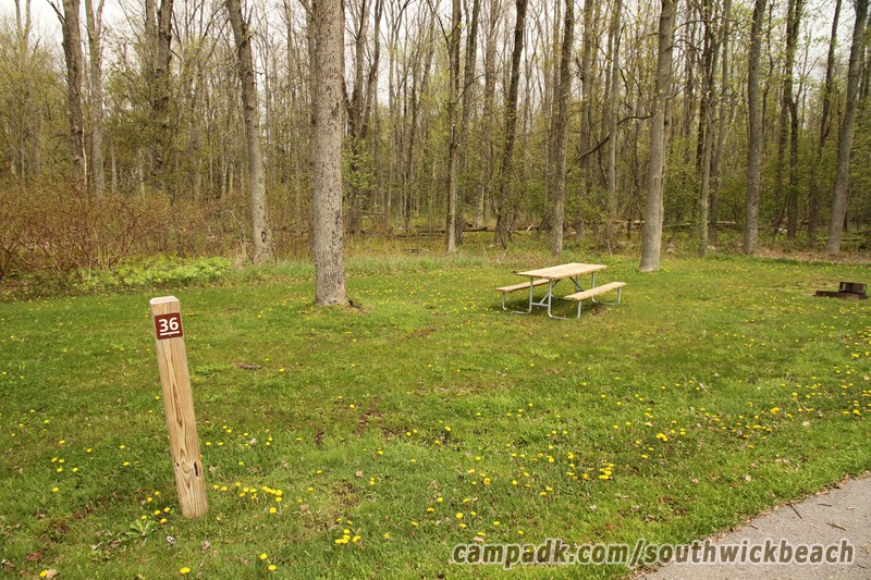 Campsite Photo of Site 36 at Southwick Beach State Park, New York - Looking at Site from Road Sign Visible
