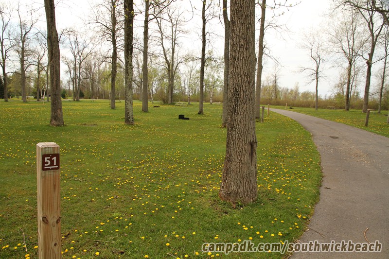 Campsite Photo of Site 51 at Southwick Beach State Park, New York - Looking at Site from Road Sign Visible