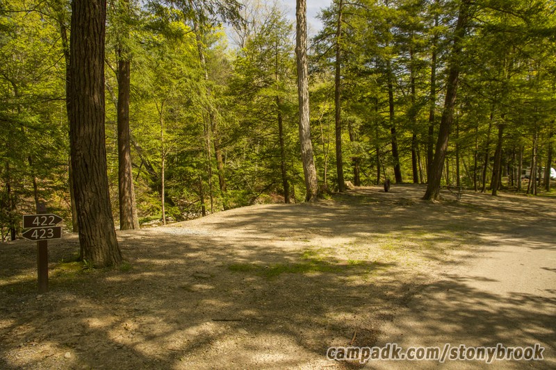Campsite Photo of Site 422 at Stony Brook State Park, New York - Looking at Site from Road Sign Visible
