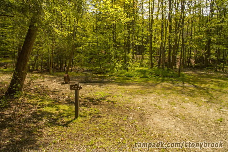 Campsite Photo of Site 407 at Stony Brook State Park, New York - Looking at Site from Road Sign Visible