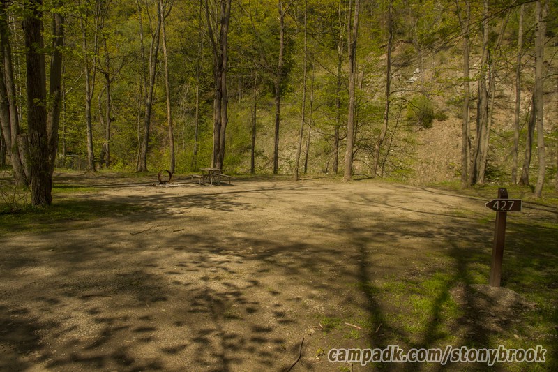 Campsite Photo of Site 427 at Stony Brook State Park, New York - Looking at Site from Road Sign Visible