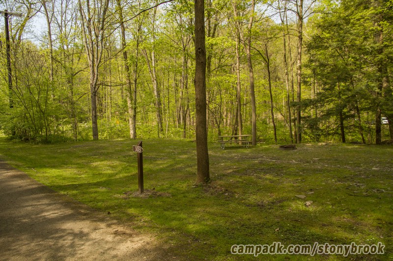 Campsite Photo of Site 303 at Stony Brook State Park, New York - Looking at Site from Road Sign Visible
