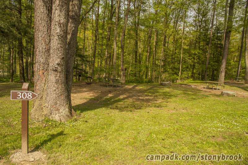 Campsite Photo of Site 308 at Stony Brook State Park, New York - Looking at Site from Road Sign Visible