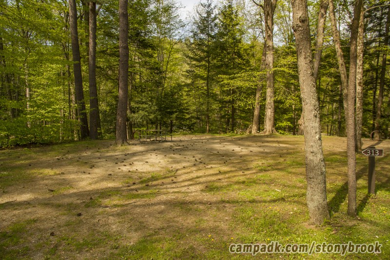 Campsite Photo of Site 313 at Stony Brook State Park, New York - Looking at Site from Road Sign Visible