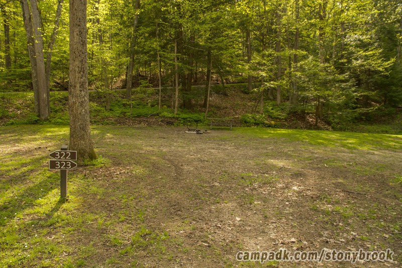 Campsite Photo of Site 323 at Stony Brook State Park, New York - Looking at Site from Road Sign Visible