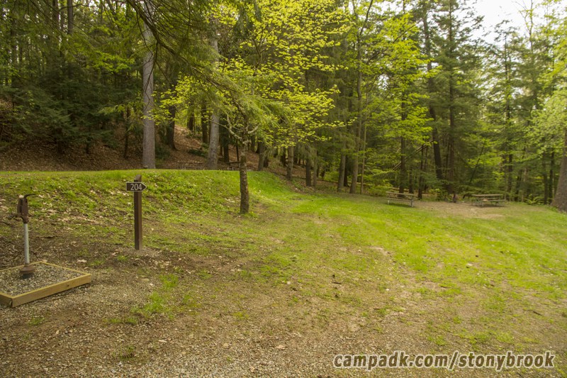 Campsite Photo of Site 204 at Stony Brook State Park, New York - Looking at Site from Road Sign Visible