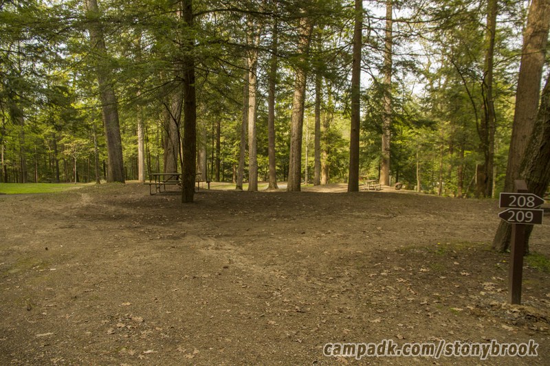 Campsite Photo of Site 209 at Stony Brook State Park, New York - Looking at Site from Road Sign Visible