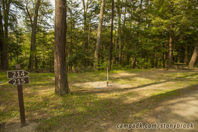 Campsite Photo of Site 214 at Stony Brook State Park, New York - Looking at Site from Road Sign Visible