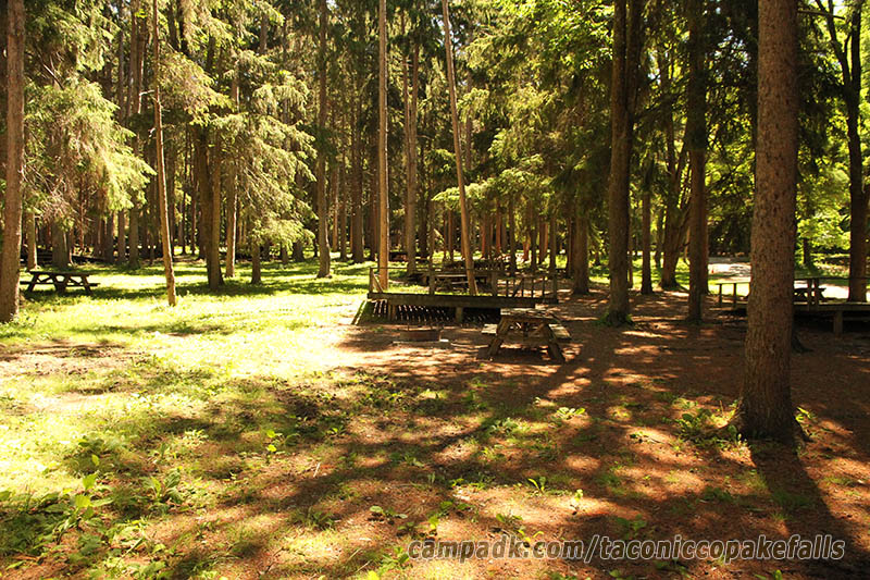 Campsite Photo of Site 5 at Taconic Copake Falls State Park, New York - Looking at Site from Road Sign Visible