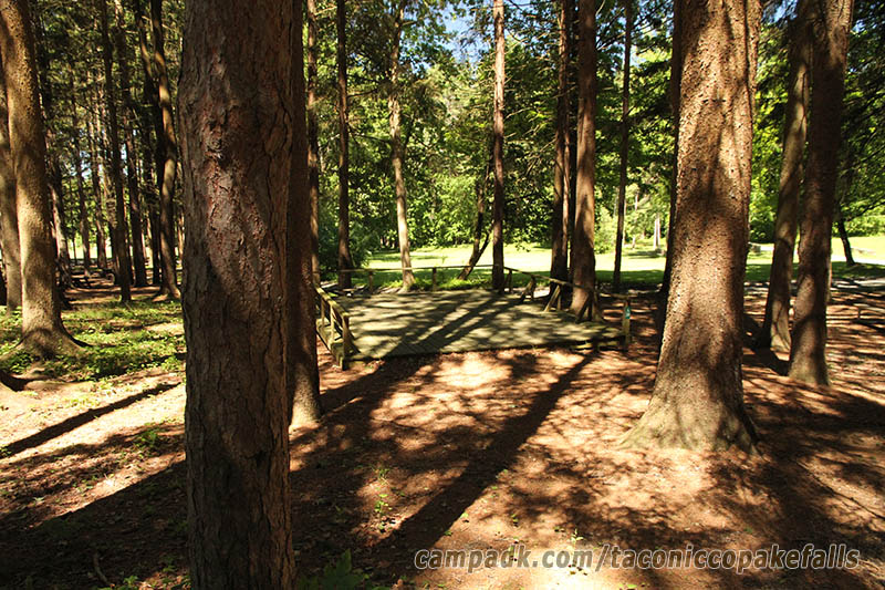 Campsite Photo of Site 30 at Taconic Copake Falls State Park, New York - Looking at Site from Road Sign Visible