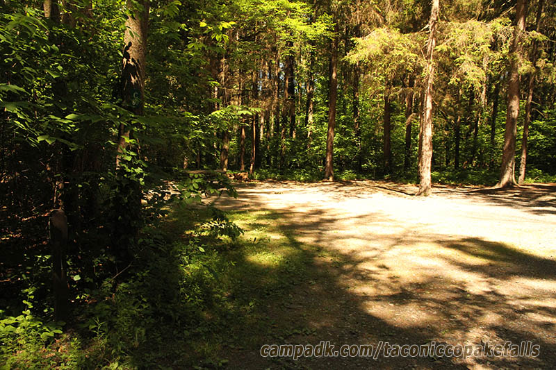 Campsite Photo of Site 80 at Taconic Copake Falls State Park, New York - Looking at Site from Road Sign Visible