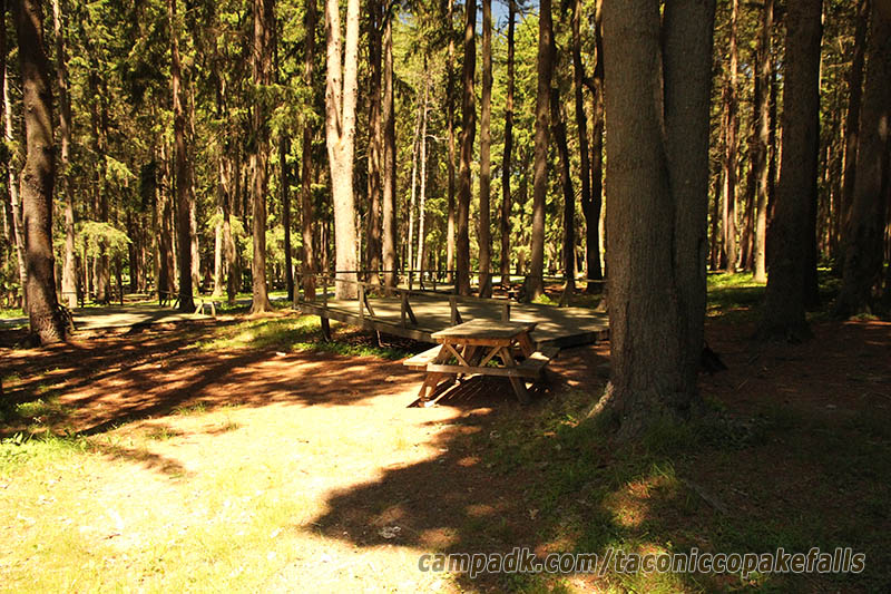 Campsite Photo of Site 45 at Taconic Copake Falls State Park, New York - Looking at Site from Road Sign Visible