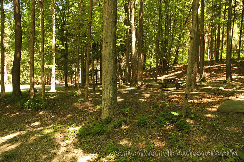 Campsite Photo of Site 40 at Taconic Copake Falls State Park, New York - Looking at Site from Road