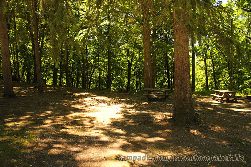 Campsite Photo of Site 35 at Taconic Copake Falls State Park, New York - Looking at Site from Road Sign Visible