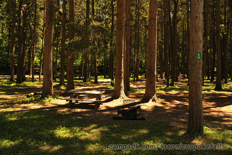 Campsite Photo of Site 50 at Taconic Copake Falls State Park, New York - Looking at Site from Road Sign Visible