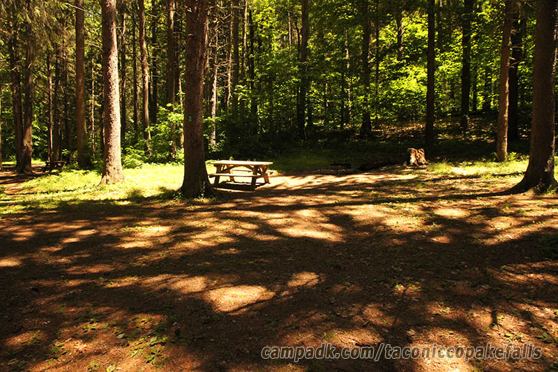 Campsite Photo of Site 55 at Taconic Copake Falls State Park, New York - Looking at Site from Road Sign Visible