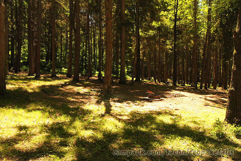 Campsite Photo of Site 60 at Taconic Copake Falls State Park, New York - Looking at Site from Road