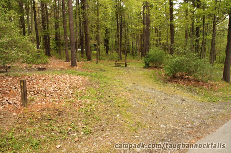 Campsite Photo of Site 41 at Taughannock Falls State Park, New York - Looking at Site from Road Sign Visible