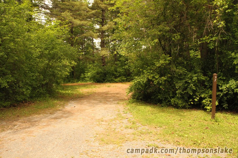 Campsite Photo of Site 37 at Thompsons Lake Campground, New York - Looking at Site from Road Sign Visible