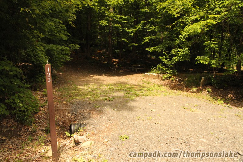 Campsite Photo of Site 133 at Thompsons Lake Campground, New York - Looking at Site from Road Sign Visible