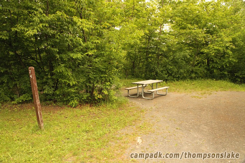 Campsite Photo of Site 74 at Thompsons Lake Campground, New York - Looking at Site from Road Sign Visible