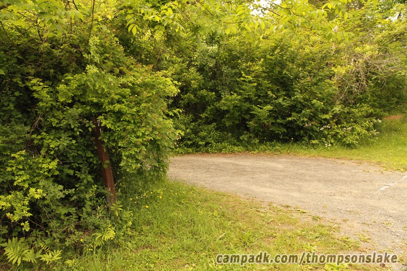 Campsite Photo of Site 71 at Thompsons Lake Campground, New York - Looking at Site from Road Sign Visible