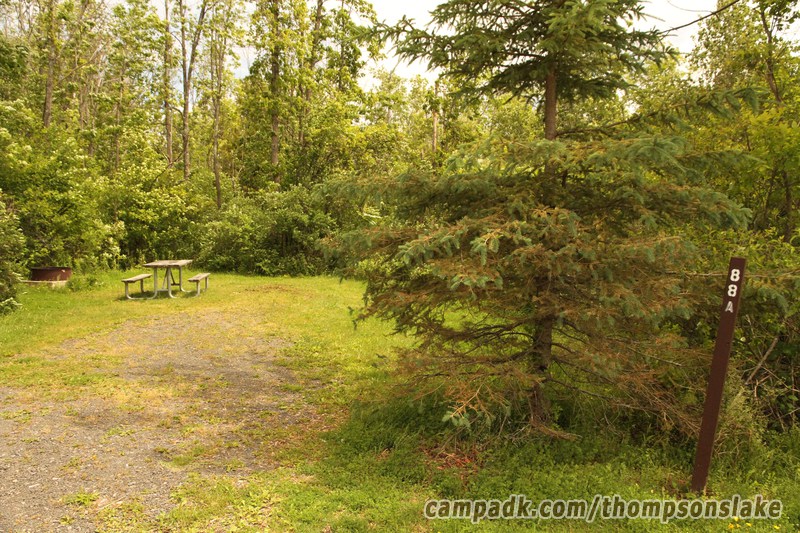 Campsite Photo of Site 88A at Thompsons Lake Campground, New York - Looking at Site from Road Sign Visible