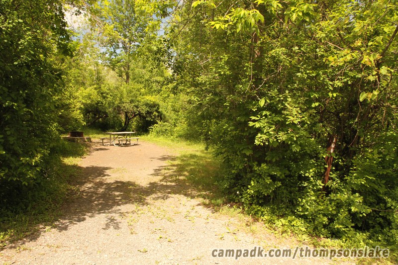 Campsite Photo of Site 108 at Thompsons Lake Campground, New York - Looking at Site from Road Sign Visible