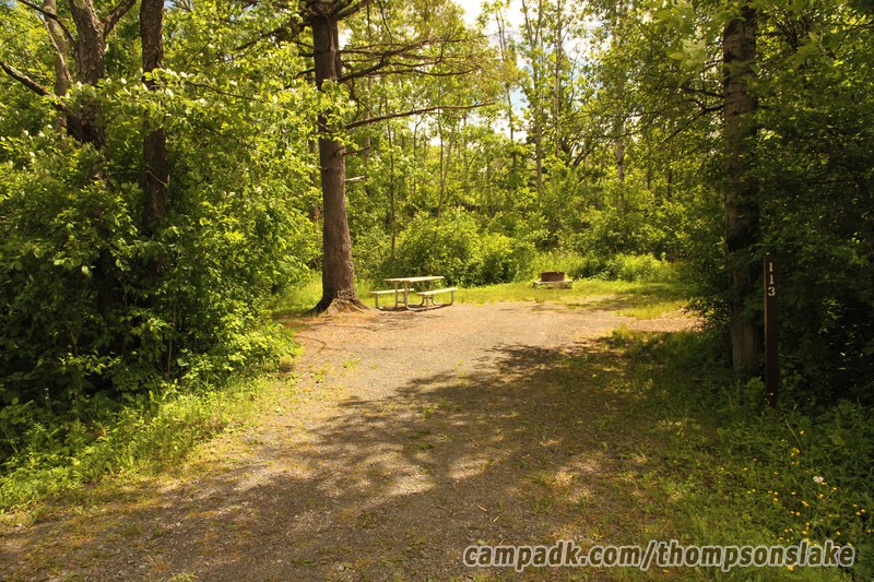 Campsite Photo of Site 113 at Thompsons Lake Campground, New York - Looking at Site from Road Sign Visible