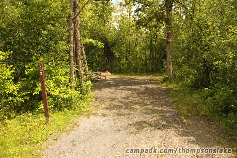 Campsite Photo of Site 123 at Thompsons Lake Campground, New York - Looking at Site from Road Sign Visible