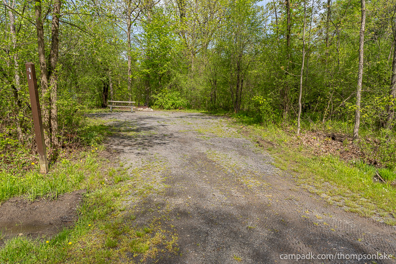 Campsite Photo of Site 41 at Thompsons Lake Campground, New York - Looking at Site from Road Sign Visible