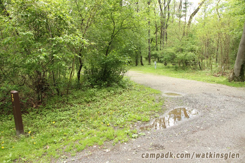 Campsite Photo of Site 77 at Watkins Glen State Park, New York - Looking at Site from Road Sign Visible