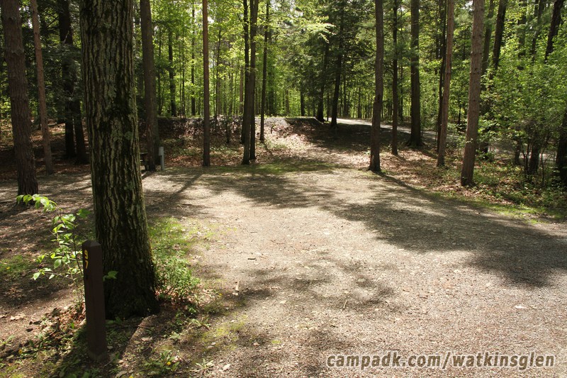 Campsite Photo of Site 97 at Watkins Glen State Park, New York - Looking at Site from Road Sign Visible