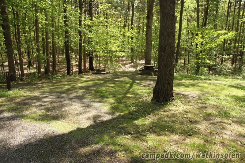 Campsite Photo of Site 57 at Watkins Glen State Park, New York - Looking at Site from Road Sign Visible