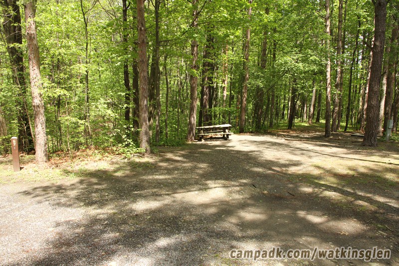 Campsite Photo of Site 67 at Watkins Glen State Park, New York - Looking at Site from Road Sign Visible