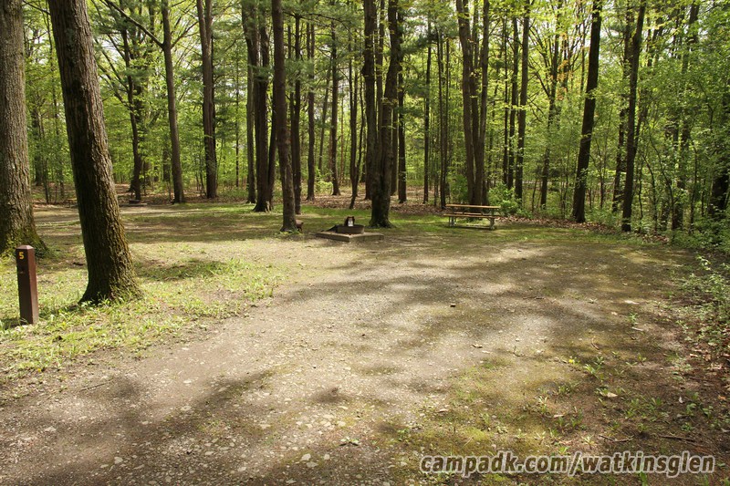 Campsite Photo of Site 5 at Watkins Glen State Park, New York - Looking at Site from Road Sign Visible