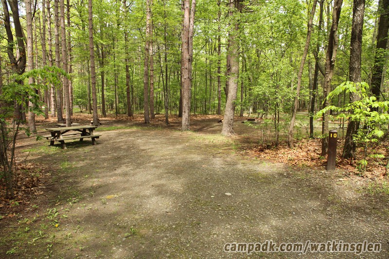 Campsite Photo of Site 10 at Watkins Glen State Park, New York - Looking at Site from Road Sign Visible