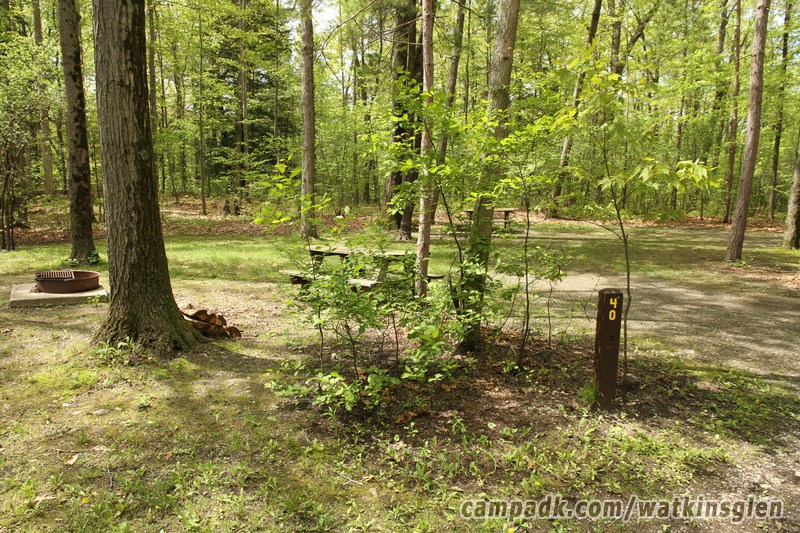 Campsite Photo of Site 40 at Watkins Glen State Park, New York - Looking at Site from Road Sign Visible