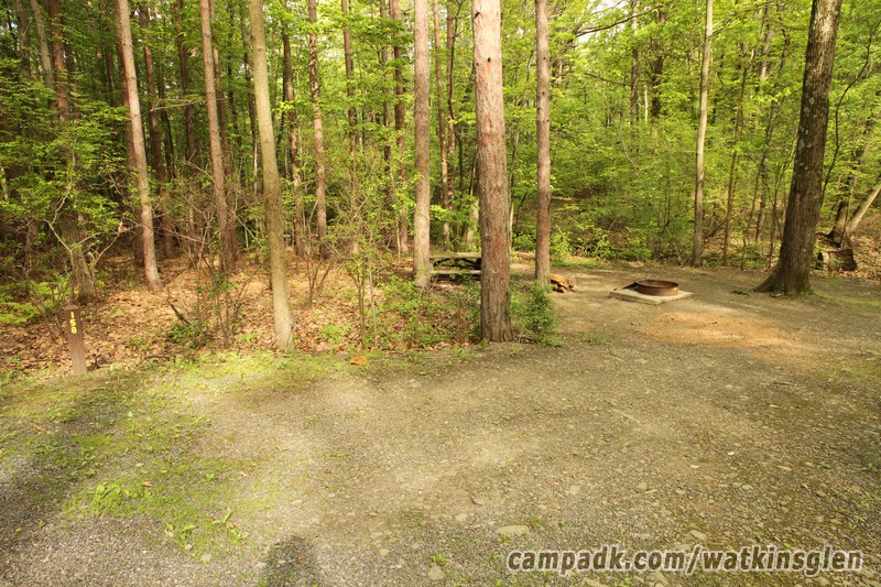 Campsite Photo of Site 158 at Watkins Glen State Park, New York - Looking at Site from Road Sign Visible