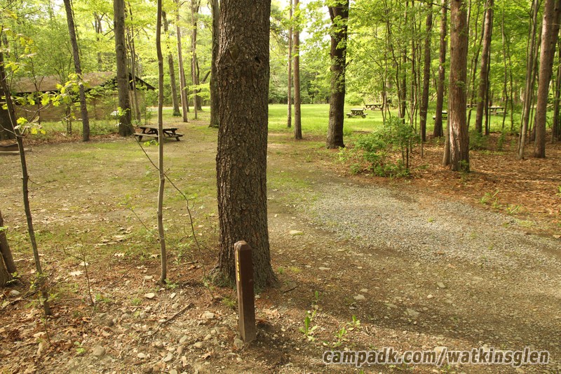 Campsite Photo of Site 168 at Watkins Glen State Park, New York - Looking at Site from Road Sign Visible
