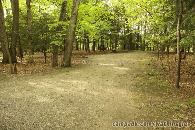 Campsite Photo of Site 193 at Watkins Glen State Park, New York - Looking at Site from Road Sign Visible