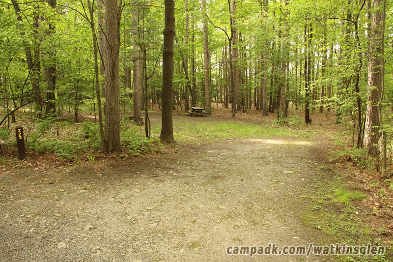 Campsite Photo of Site 223 at Watkins Glen State Park, New York - Looking at Site from Road Sign Visible