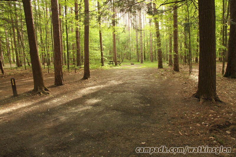 Campsite Photo of Site 228 at Watkins Glen State Park, New York - Looking at Site from Road Sign Visible