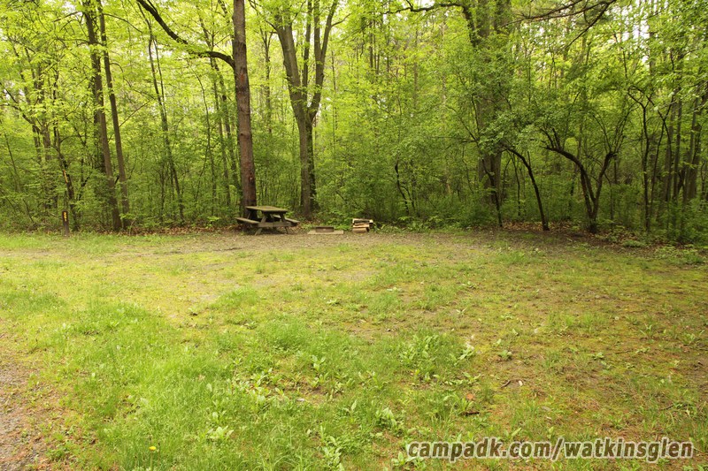 Campsite Photo of Site 261 at Watkins Glen State Park, New York - Looking at Site from Road
