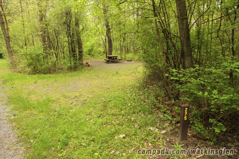 Campsite Photo of Site 275 at Watkins Glen State Park, New York - Looking at Site from Road Sign Visible