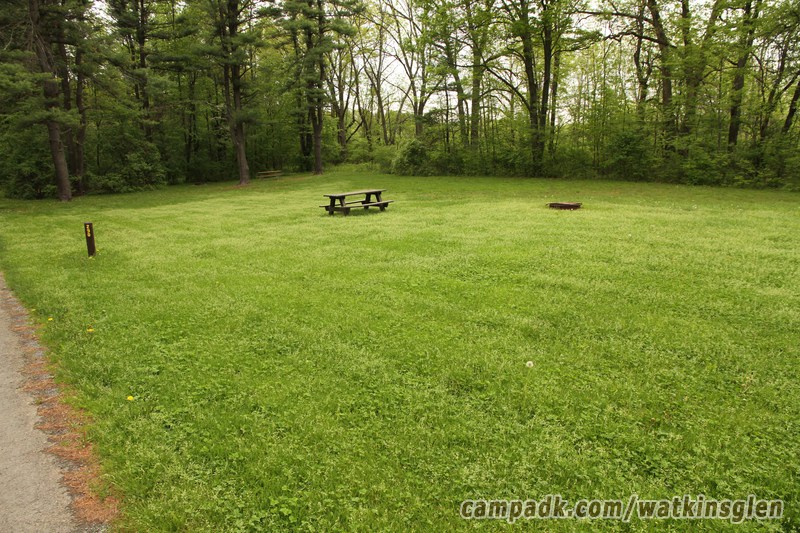 Campsite Photo of Site 290 at Watkins Glen State Park, New York - Looking at Site from Road Sign Visible