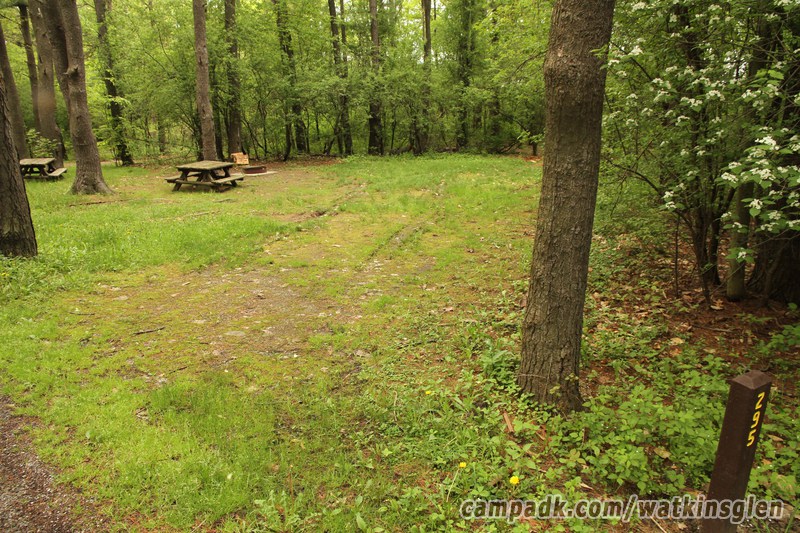 Campsite Photo of Site 295 at Watkins Glen State Park, New York - Looking at Site from Road Sign Visible